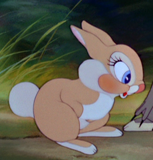 Detail La lapine