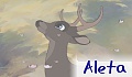 Aleta