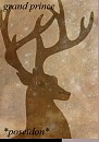 avatar grand prince pour pos'