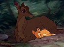 A Princess's Birth