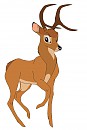 Bambi: Full Stag Age