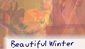 Beautiful Winter