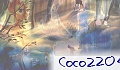 Coco2204