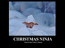 Christmas Ninja