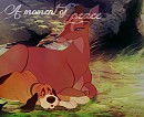 A moment of peace
