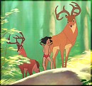 Un petit d'hommes dans le Sous-bois