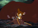 SaraxBambi fan fawns