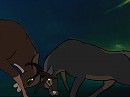 The battle