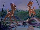 Les parents de Bambi enfants