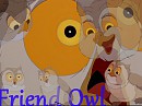friend owl