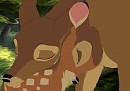 Trade Half: ThatKodaik