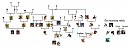 Herd From the North verse Family Tree