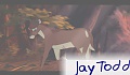 JayTodd