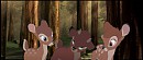 Les petites histoires de Ronno