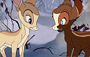 <3Tagg&Sedna<3