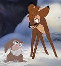 Hogo and his Friend