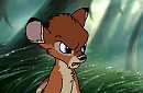 BambiXFaline fawn