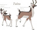 Tuktu- calf and bull