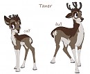 Taner reference