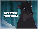 -IMPORTANT!-