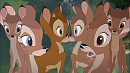 Bambi et F�line