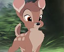 Geno