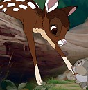  Are you Thumper? 