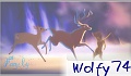 Wolfy'