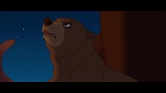 Brother Bear picture