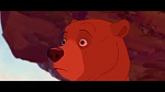 Brother Bear picture