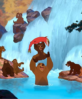Bear