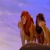 cool kovu lion