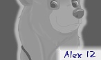 Alex 12