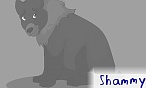 shammy