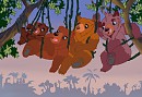 koly and Kenai they
