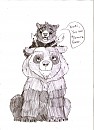 Demon bear