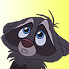 Baby Racoon