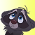 Baby Racoon