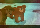 Koda et kovu
