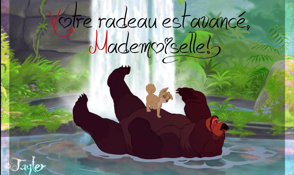 Vous