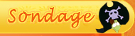 Sondage