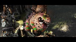 Image Dragons 2