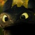 NightFury