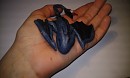 Mini Krokmou sculpt�