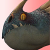 Dragons