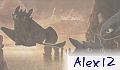 Alex 12
