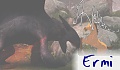 ermi