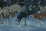 Ginga : A Broken Oath picture Ginga : A Broken Oath picture