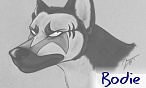 bodie