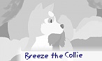 Breeze the Collie